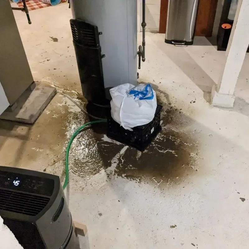 Sewage Backup Cleanup Service in Green, OR